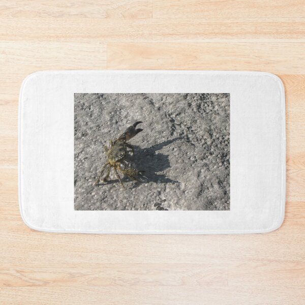 Item preview, Sunlit Shore Crab Walking on Rock Casting Strong Shadow in Coastal Close-Up Landscape designed and sold by Nmallia.