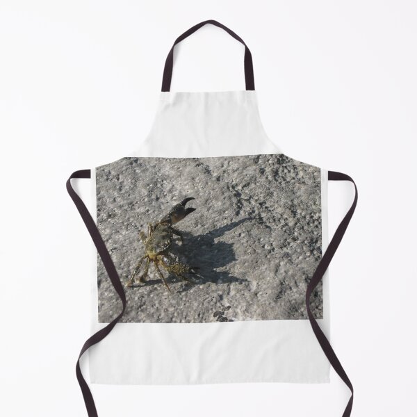 Item preview, Sunlit Shore Crab Walking on Rock Casting Strong Shadow in Coastal Close-Up Landscape designed and sold by Nmallia.