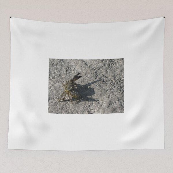 Item preview, Sunlit Shore Crab Walking on Rock Casting Strong Shadow in Coastal Close-Up Landscape designed and sold by Nmallia.