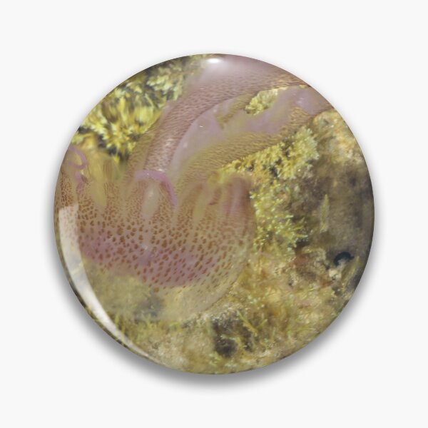 Item preview, Purple Jellyfish Swimming Over Rocky Shallow Seaweed Reef Underwater Closeup designed and sold by Nmallia.