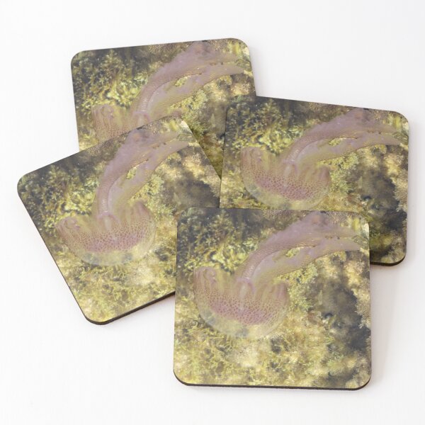 Item preview, Purple Jellyfish Swimming Over Rocky Shallow Seaweed Reef Underwater Closeup designed and sold by Nmallia.