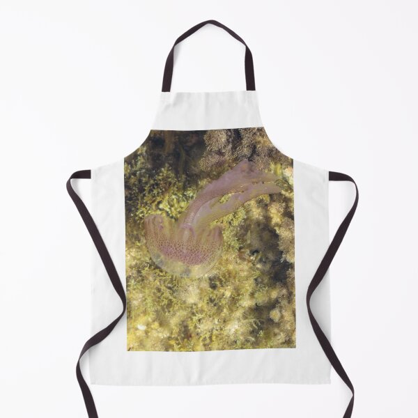 Item preview, Purple Jellyfish Swimming Over Rocky Shallow Seaweed Reef Underwater Closeup designed and sold by Nmallia.
