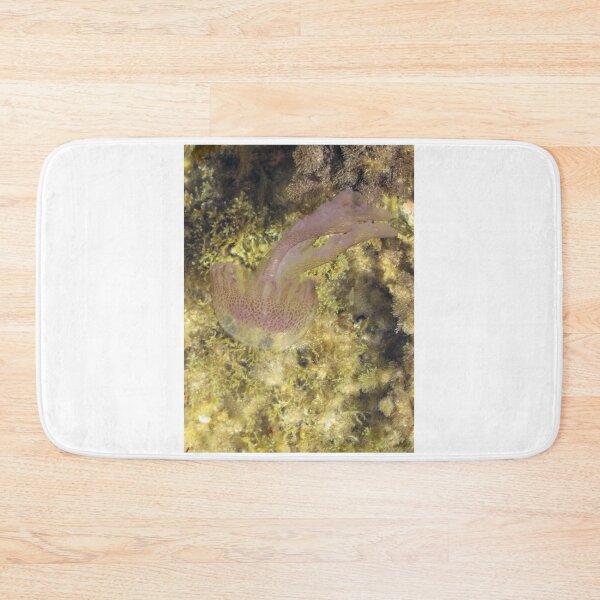 Item preview, Purple Jellyfish Swimming Over Rocky Shallow Seaweed Reef Underwater Closeup designed and sold by Nmallia.