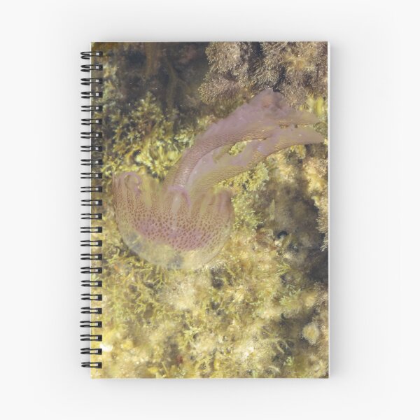 Item preview, Purple Jellyfish Swimming Over Rocky Shallow Seaweed Reef Underwater Closeup designed and sold by Nmallia.