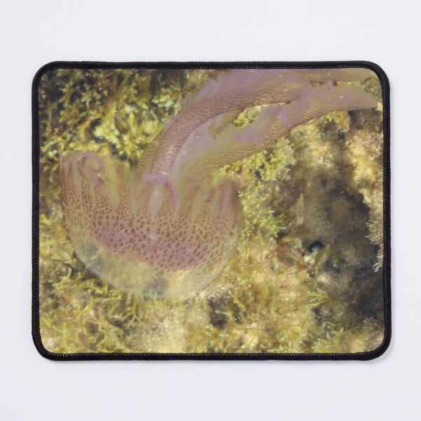 Item preview, Purple Jellyfish Swimming Over Rocky Shallow Seaweed Reef Underwater Closeup designed and sold by Nmallia.