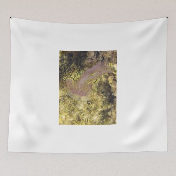 Item preview, Purple Jellyfish Swimming Over Rocky Shallow Seaweed Reef Underwater Closeup designed and sold by Nmallia.