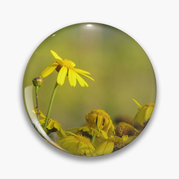 Item preview, Yellow Wildflowers and Daisies in Sunlit Meadow With Thistle Detail and Shallow Depth of Field designed and sold by Nmallia.