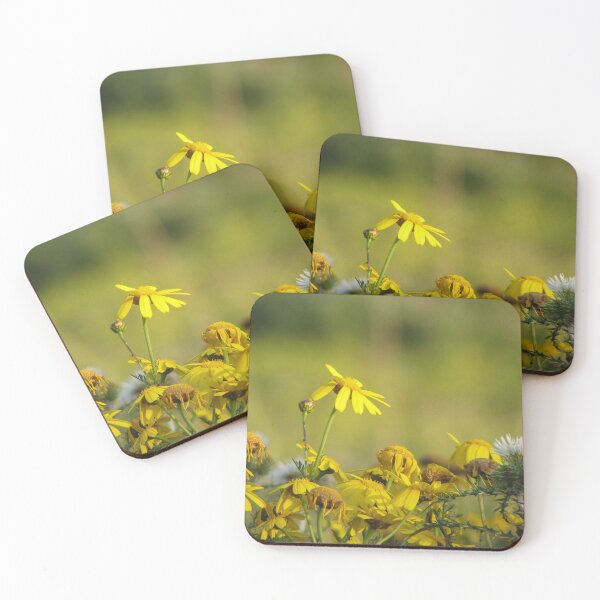 Item preview, Yellow Wildflowers and Daisies in Sunlit Meadow With Thistle Detail and Shallow Depth of Field designed and sold by Nmallia.