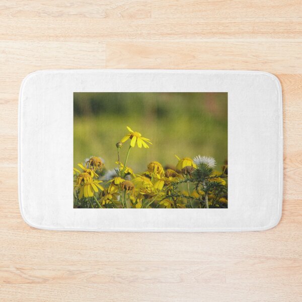 Item preview, Yellow Wildflowers and Daisies in Sunlit Meadow With Thistle Detail and Shallow Depth of Field designed and sold by Nmallia.