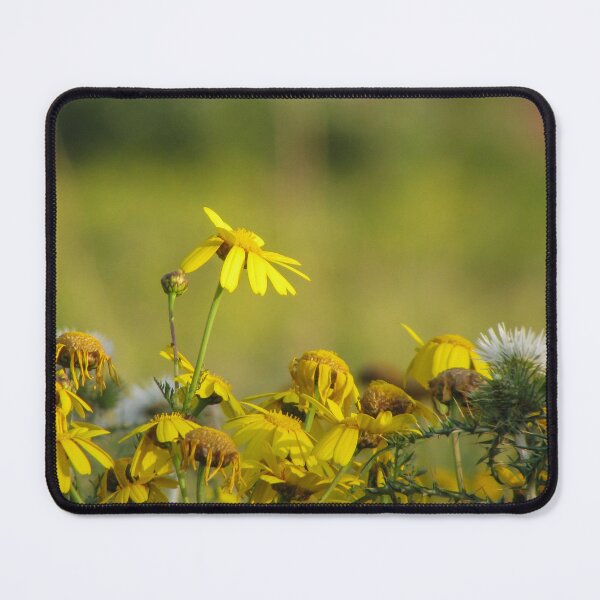 Item preview, Yellow Wildflowers and Daisies in Sunlit Meadow With Thistle Detail and Shallow Depth of Field designed and sold by Nmallia.