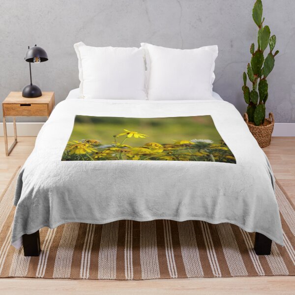 Item preview, Yellow Wildflowers and Daisies in Sunlit Meadow With Thistle Detail and Shallow Depth of Field designed and sold by Nmallia.