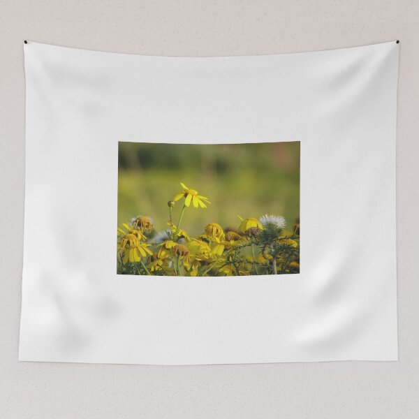 Item preview, Yellow Wildflowers and Daisies in Sunlit Meadow With Thistle Detail and Shallow Depth of Field designed and sold by Nmallia.