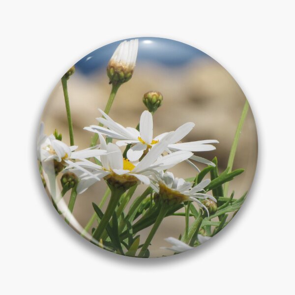 Item preview, White Daisies in Bloom on a Sunny Coastal Cliff With Ocean Background and Green Foliage designed and sold by Nmallia.