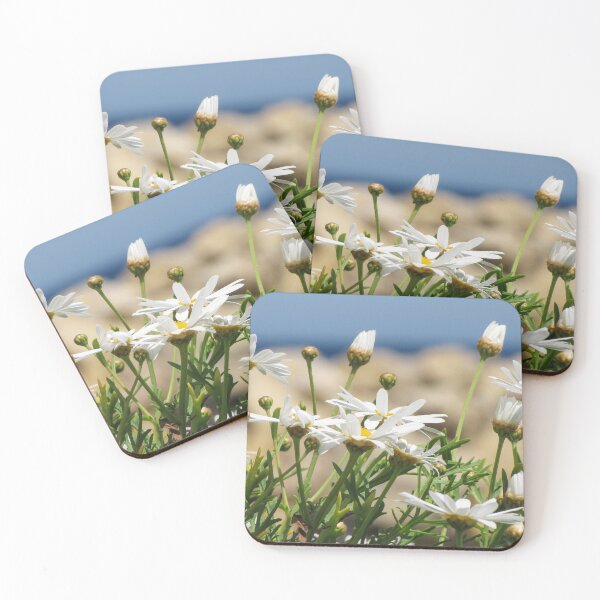Item preview, White Daisies in Bloom on a Sunny Coastal Cliff With Ocean Background and Green Foliage designed and sold by Nmallia.