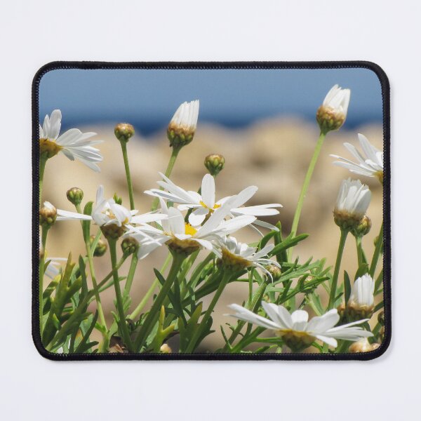Item preview, White Daisies in Bloom on a Sunny Coastal Cliff With Ocean Background and Green Foliage designed and sold by Nmallia.
