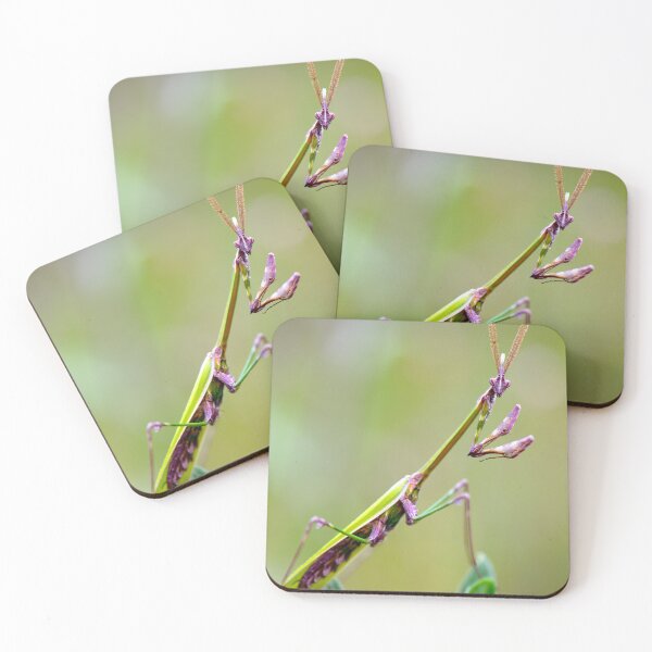 Item preview, Praying Mantis Macro Close-Up designed and sold by onubi.