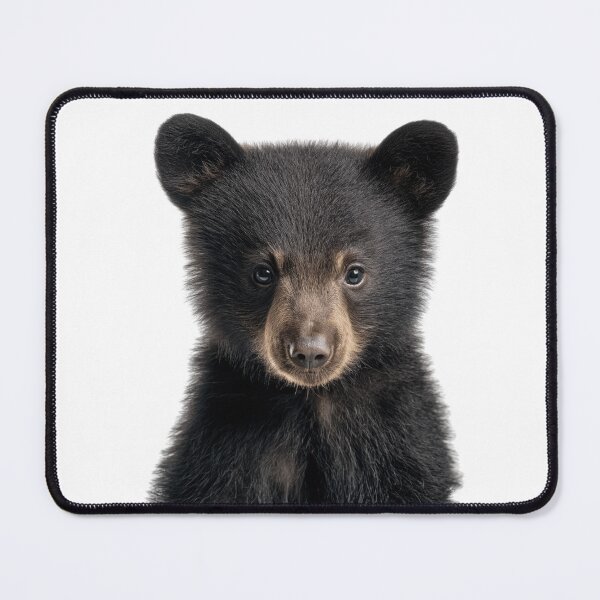 Item preview, Adorable Baby Black Bear for Cute Black Bear lovers designed and sold by LazyOwlStore.