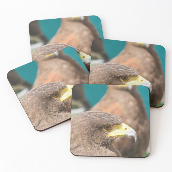 Item preview, Close-Up Portrait Of A Hawk With Sharp Beak And Intense Eye In Wildlife Setting designed and sold by Nmallia.