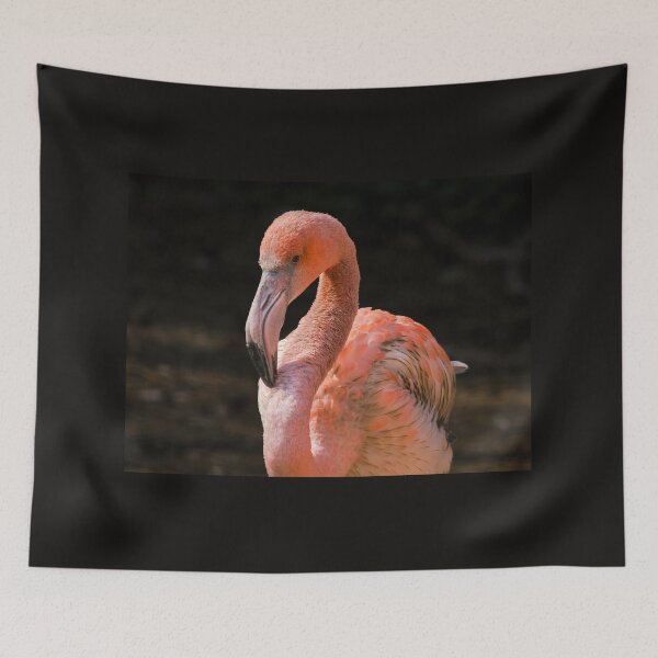 Item preview, Caribbean Flamingo designed and sold by MS.photo.