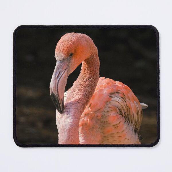 Item preview, Caribbean Flamingo designed and sold by MS.photo.