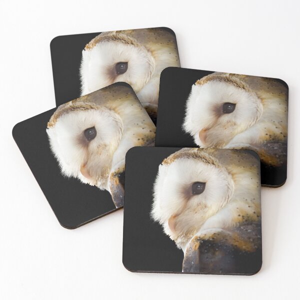Item preview, Barn owl designed and sold by MS.photo.