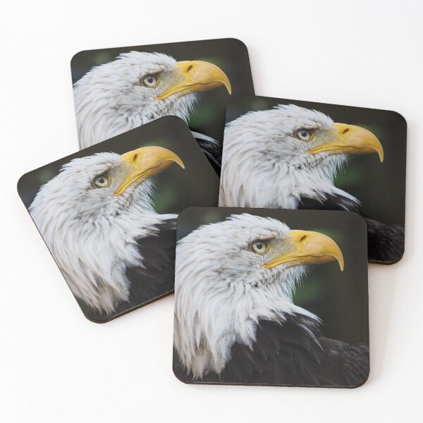 Item preview, Bald Eagle designed and sold by MS.photo.