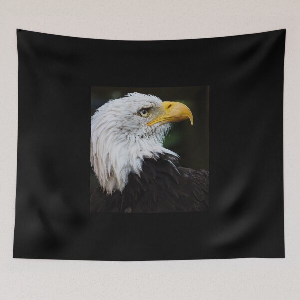 Item preview, Águila calva designed and sold by MS.photo.