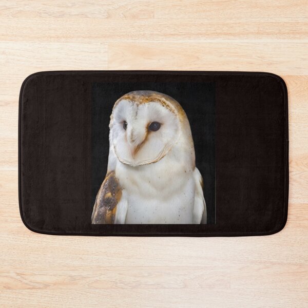 Item preview, Barn owl designed and sold by MS.photo.