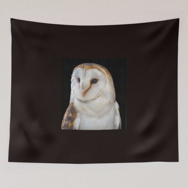 Item preview, Barn owl designed and sold by MS.photo.