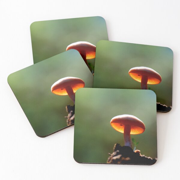 Item preview, Glowing Mushroom in Forest Light designed and sold by onubi.