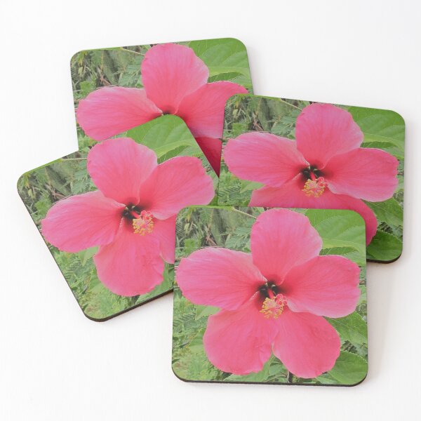 Item preview, Pink Hibiscus designed and sold by morrisophotography.