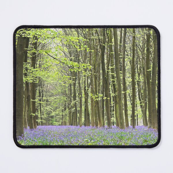 Item preview, Bluebell Wood designed and sold by Murph's Images.