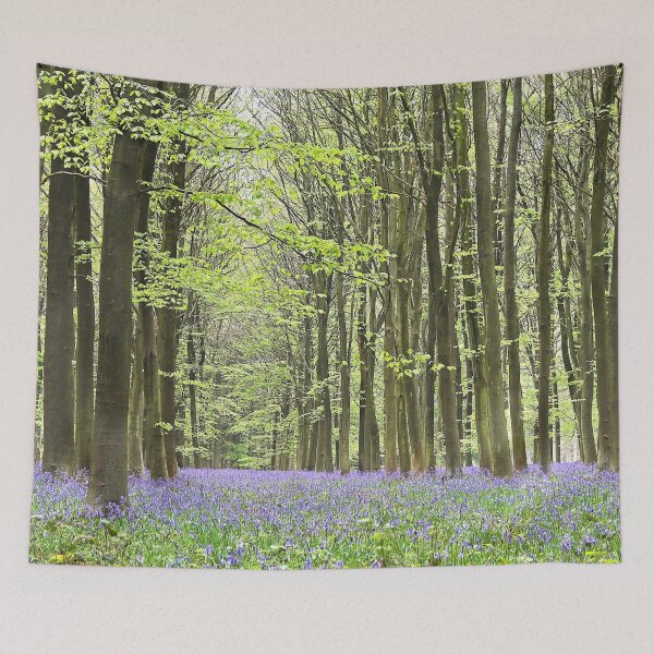 Item preview, Bluebell Wood designed and sold by Murph's Images.