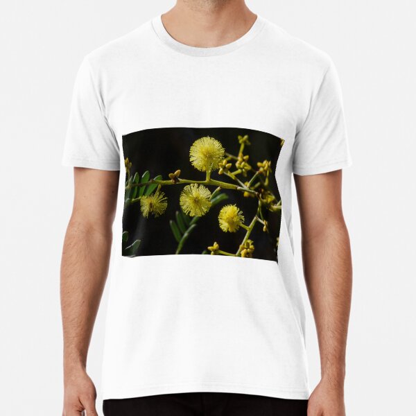 Item preview, wattle designed and sold by Willscape.