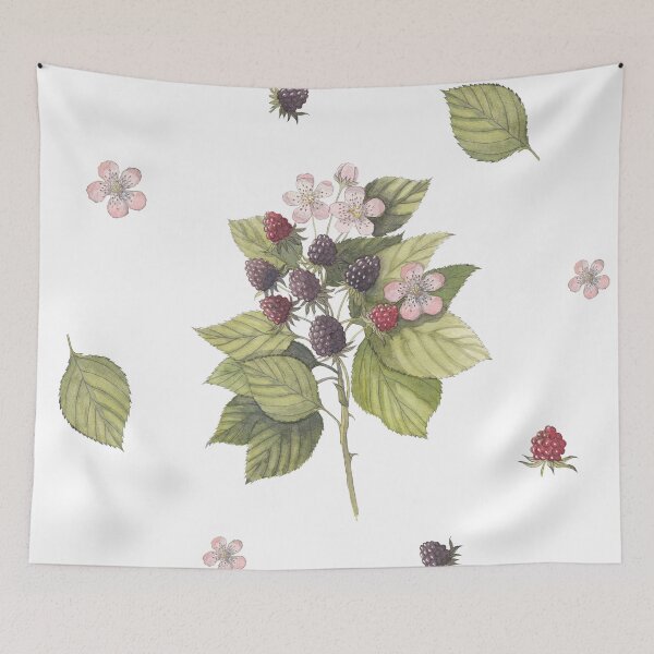 Item preview, Wild Blackberry Branch Botanical Illustration - Blooming Bramble with Ripe berries - Nature Cottagecore Art designed and sold by Laurus Lunaris.