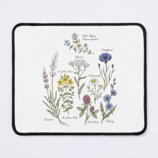 Item preview, Cottagecore Botanical Sketches designed and sold by SignumShop.