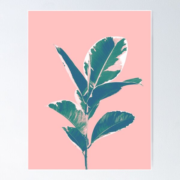 Item preview, Ficus Elastica Finesse #3 #tropical #foliage #decor #art  designed and sold by Anita's & Bella's Art.