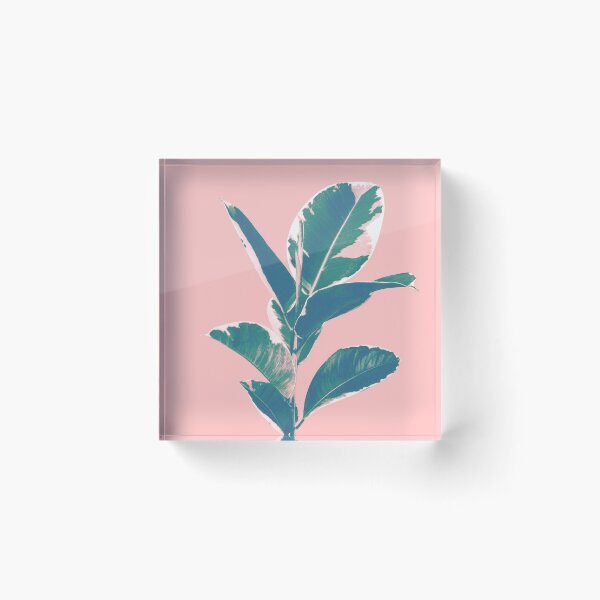 Item preview, Ficus Elastica Finesse #3 #tropical #foliage #decor #art  designed and sold by Anita's & Bella's Art.