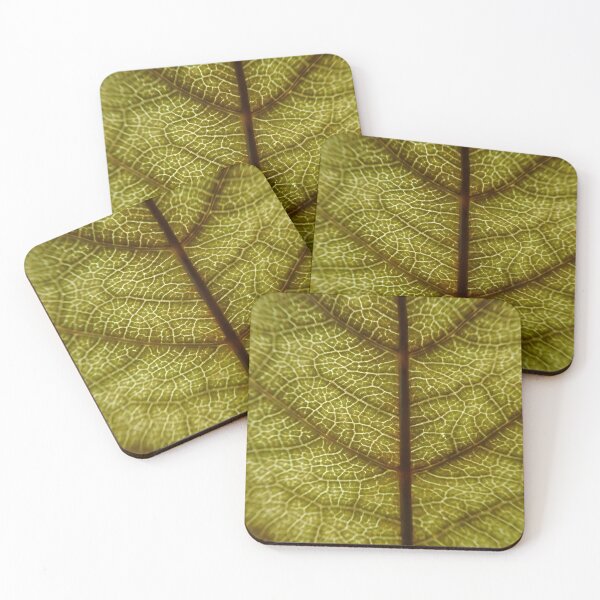 Item preview, Leaf Vein Macro Texture – Nature Pattern Close-Up designed and sold by onubi.