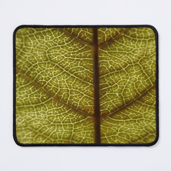 Item preview, Leaf Vein Macro Texture – Nature Pattern Close-Up designed and sold by onubi.