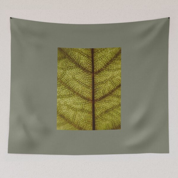 Item preview, Leaf Vein Macro Texture – Nature Pattern Close-Up designed and sold by onubi.