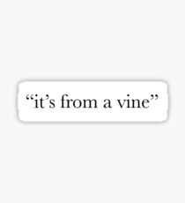 “it’s from a vine” Sticker