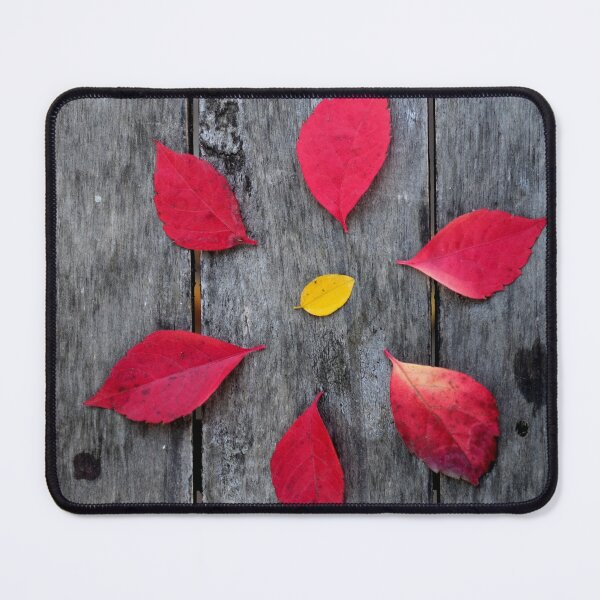 Item preview, Autumn Leaves Circle on Wooden Background – Minimal Nature Composition designed and sold by onubi.