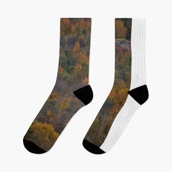 Item preview, Autumn Forest Landscape – Colorful Fall Trees Nature View designed and sold by onubi.