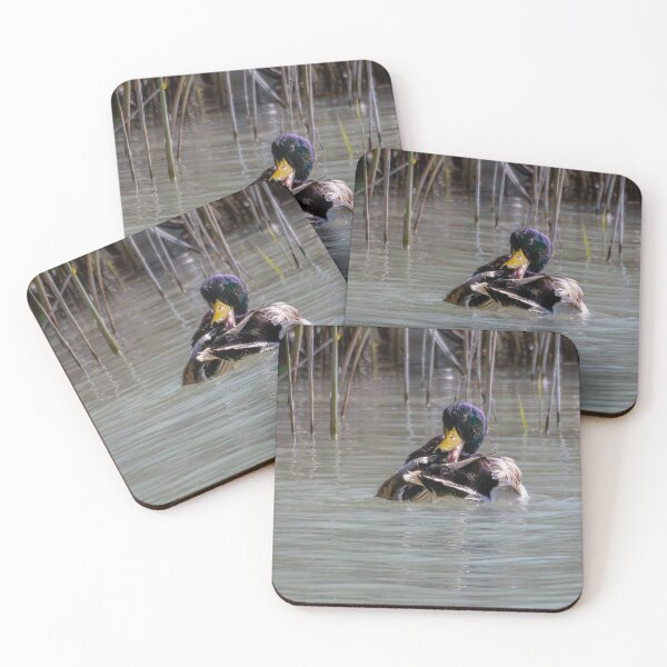 Item preview, Ha Ha Ha Ha designed and sold by Ralph Goldsmith.