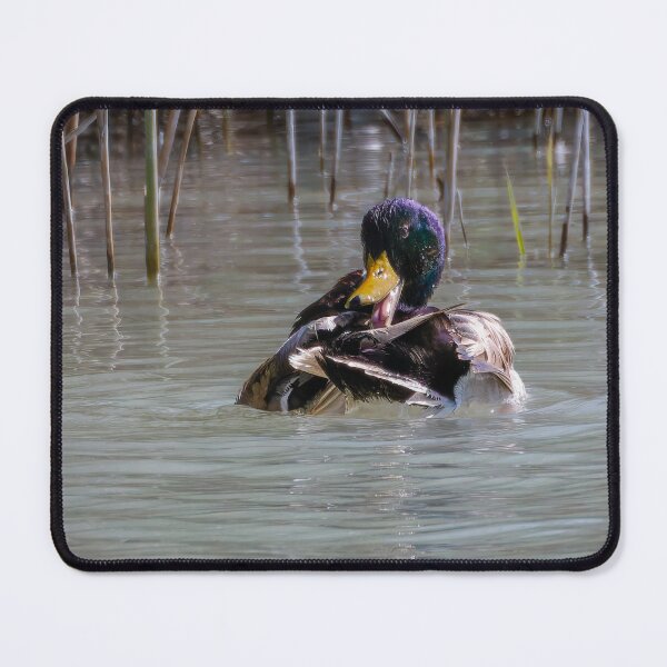 Item preview, Ha Ha Ha Ha designed and sold by Ralph Goldsmith.
