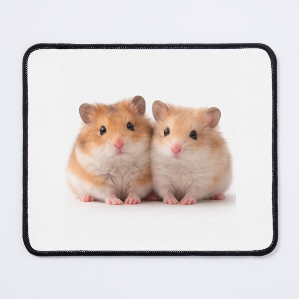 Item preview, Cute hamsters  designed and sold by Lidya’s Crafts!.