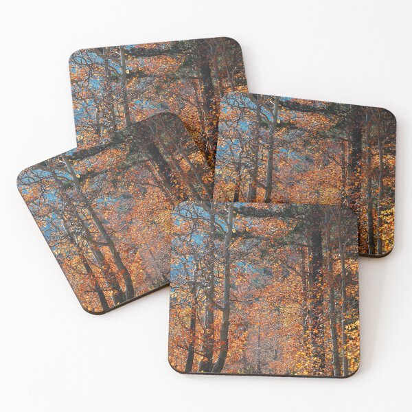 Item preview, Autumn Forest Road – Scenic Fall Colors Path designed and sold by onubi.