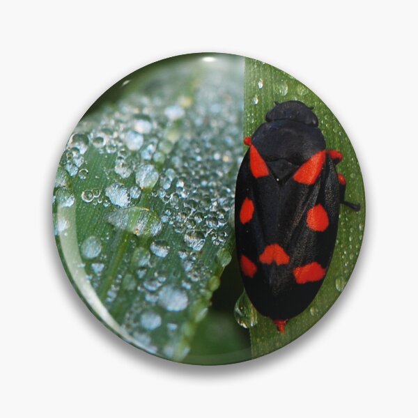 Item preview, Macro Insect Wall Art – Red and Black Bug on Dewy Leaf designed and sold by onubi.