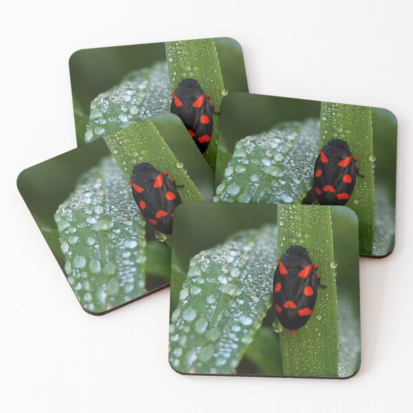 Item preview, Macro Insect Wall Art – Red and Black Bug on Dewy Leaf designed and sold by onubi.